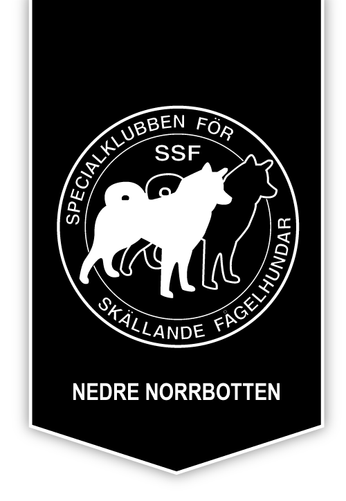 Integritetspolicy - SFNORR